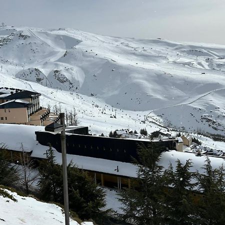 Biznaga Nevada Lejlighed Granada Eksteriør billede