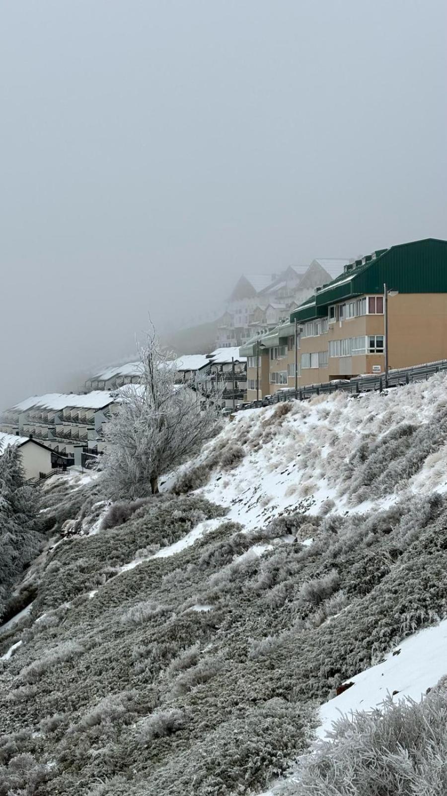 Biznaga Nevada Lejlighed Granada Eksteriør billede