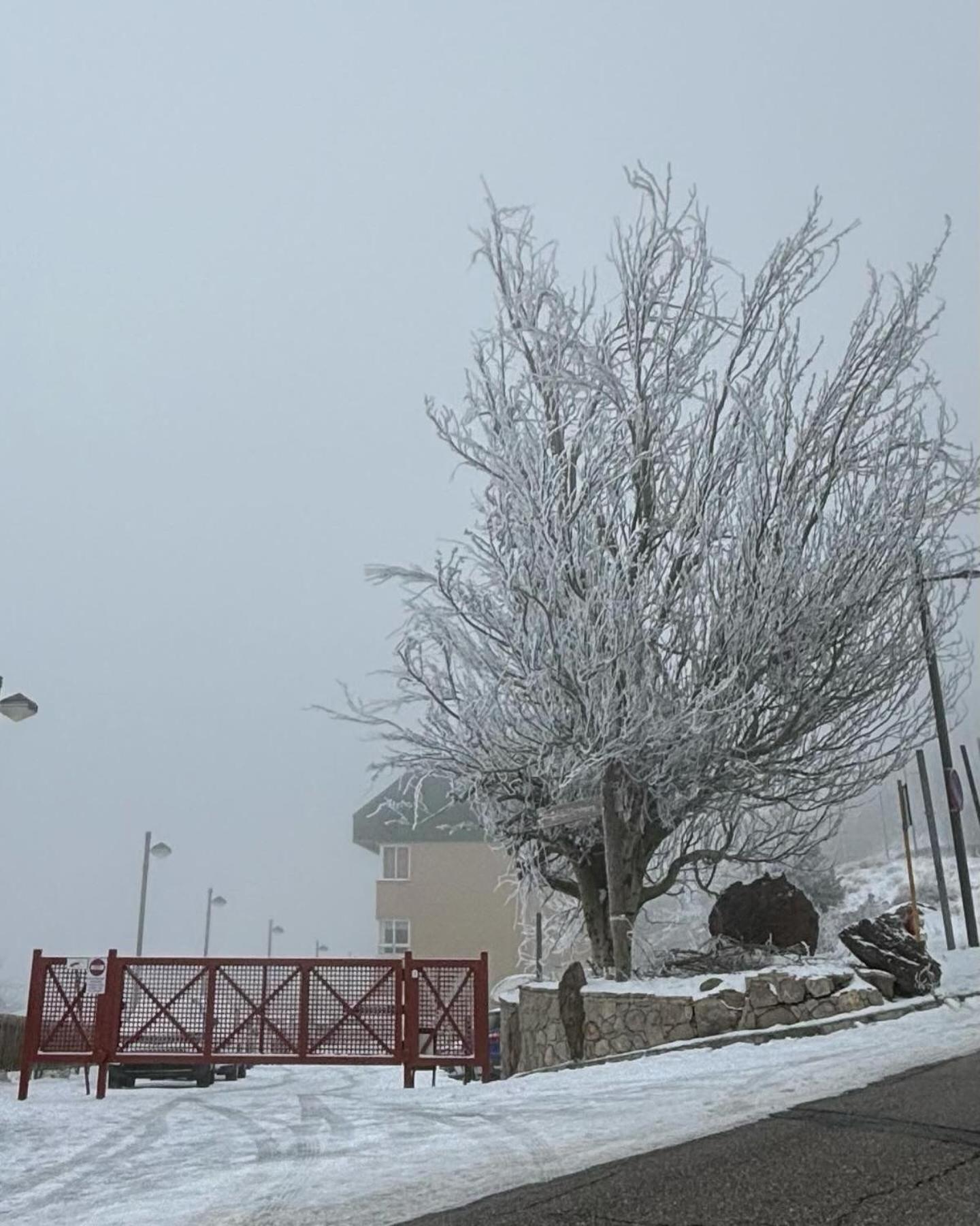 Biznaga Nevada Lejlighed Granada Eksteriør billede