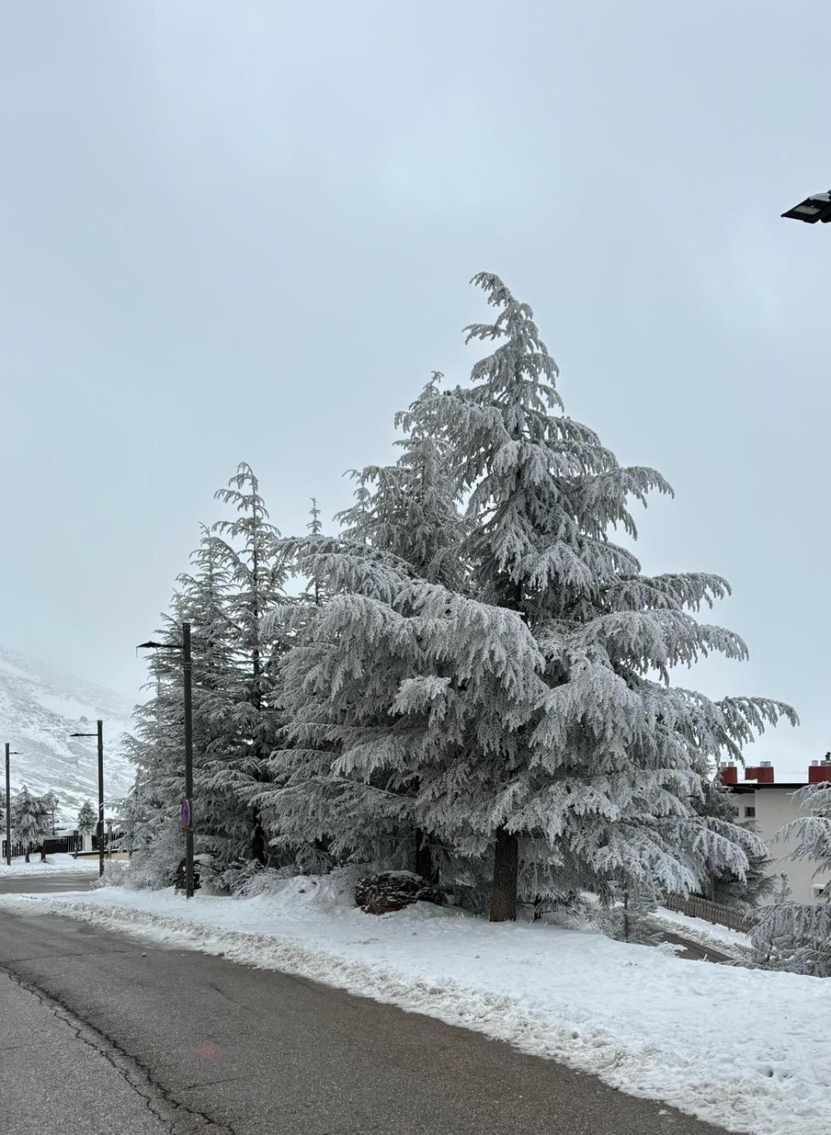 Biznaga Nevada Lejlighed Granada Eksteriør billede